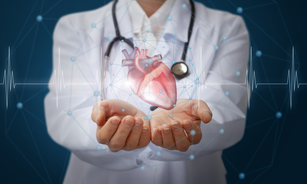 Doctor holding an image of a heart