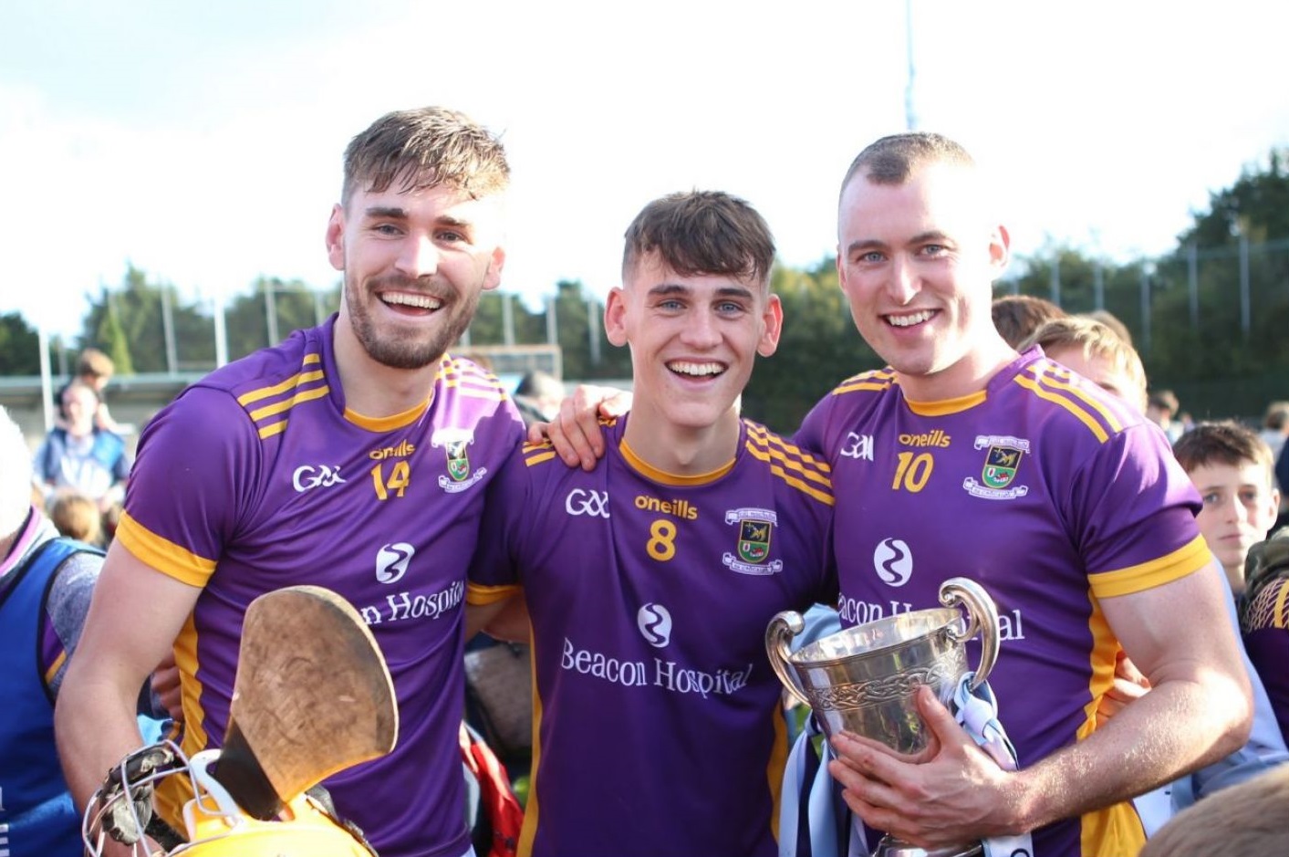 Senior Hurlers Celebrate Dublin Win