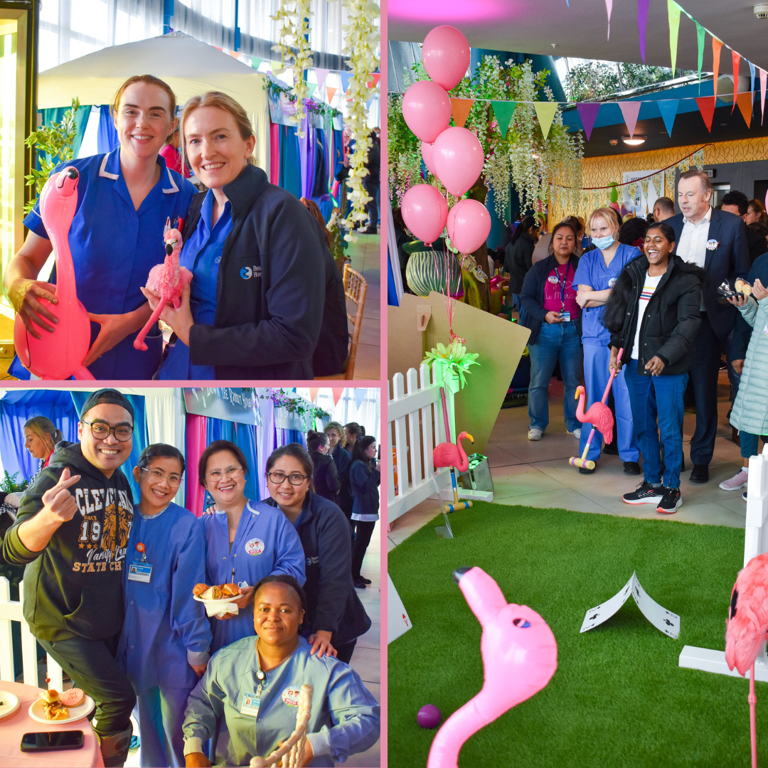 Flamingo Croquet at Nurses Day 2023